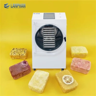 Dry Home Freeze Dryer